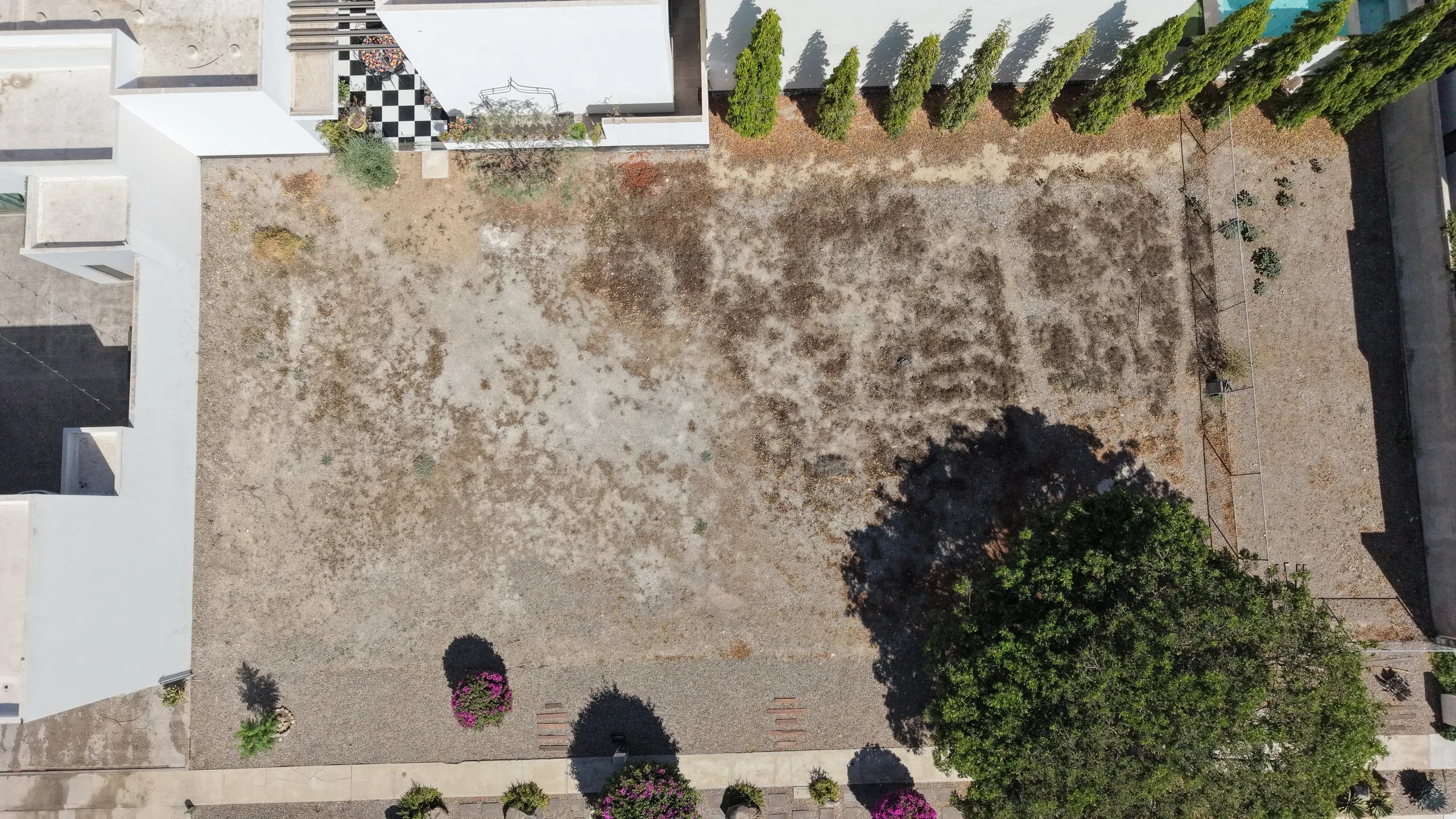 Frente Alcázar — rehabilitación hidroagrícola — vista 5