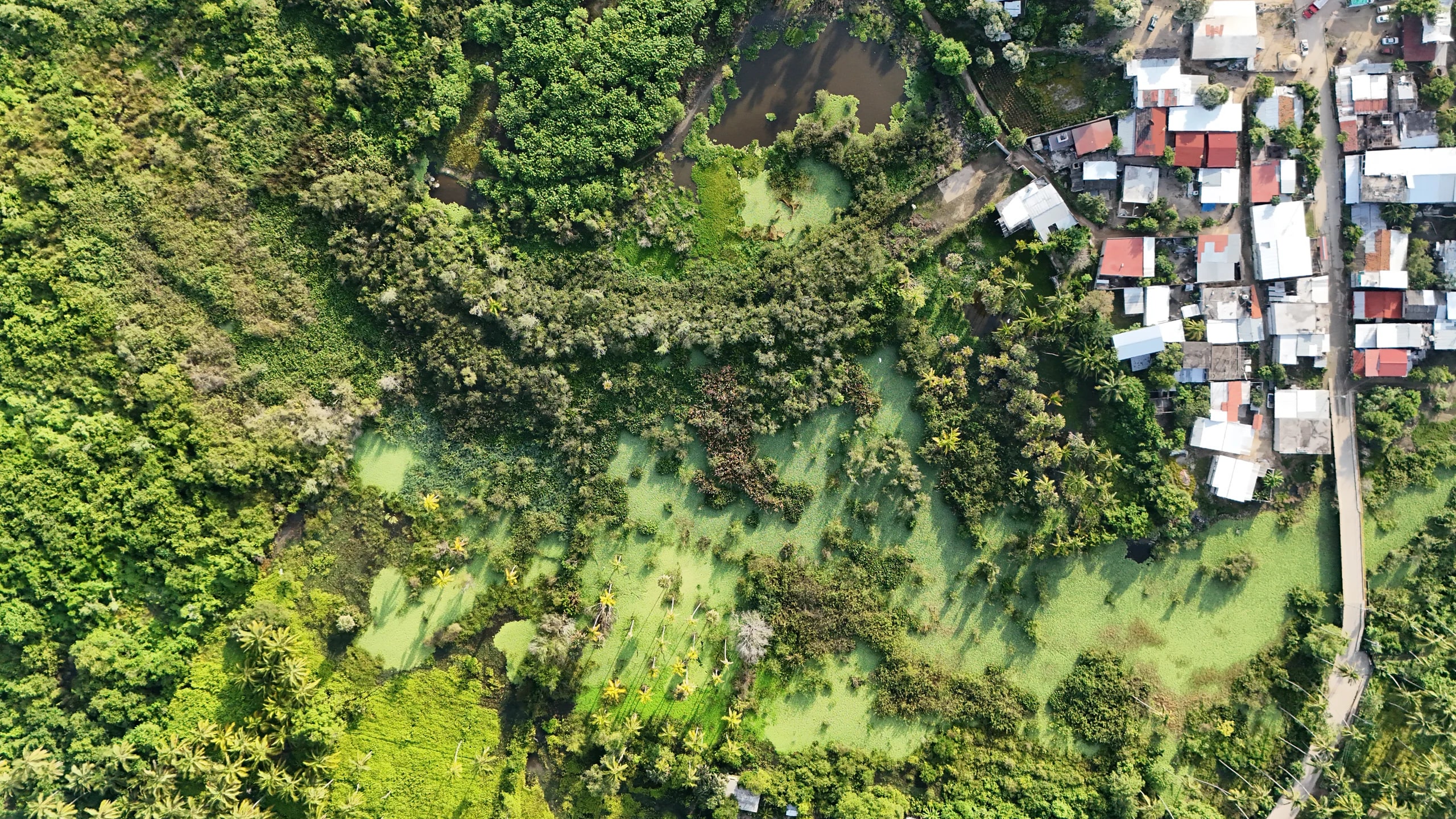 Limpieza y desazolve — Río La Sabana