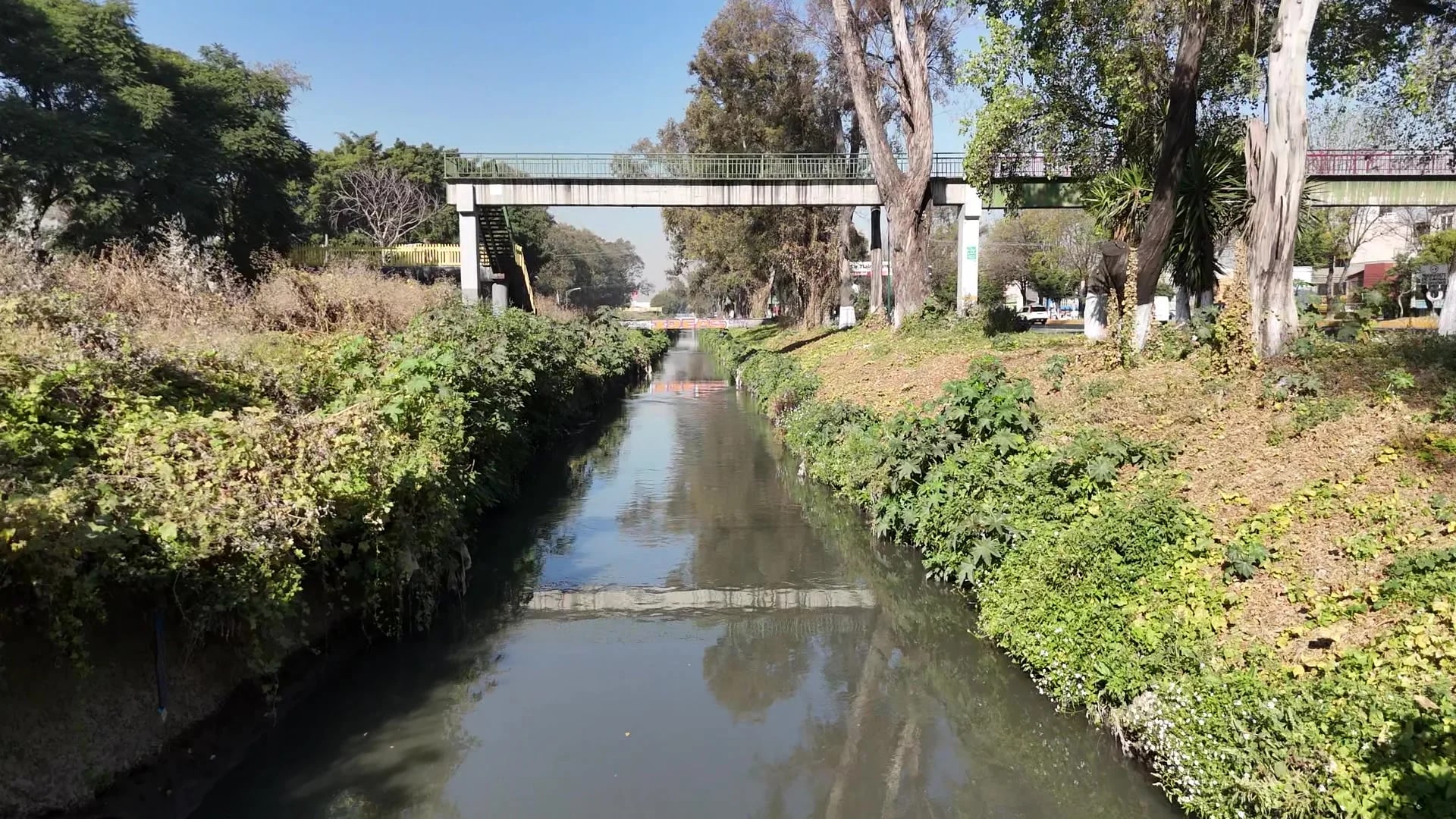 Desazolve y rehabilitación de bordos — Río Tlalnepantla — vista 4