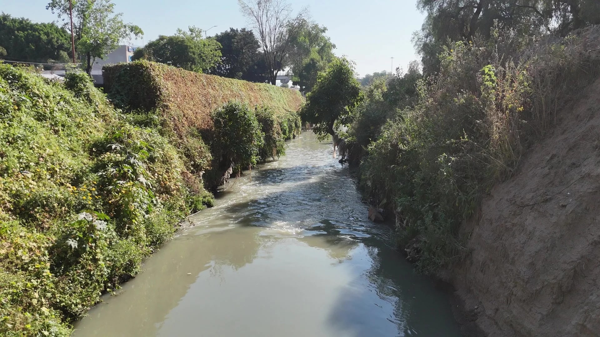 Desazolve y rehabilitación de bordos — Río Tlalnepantla — vista 8