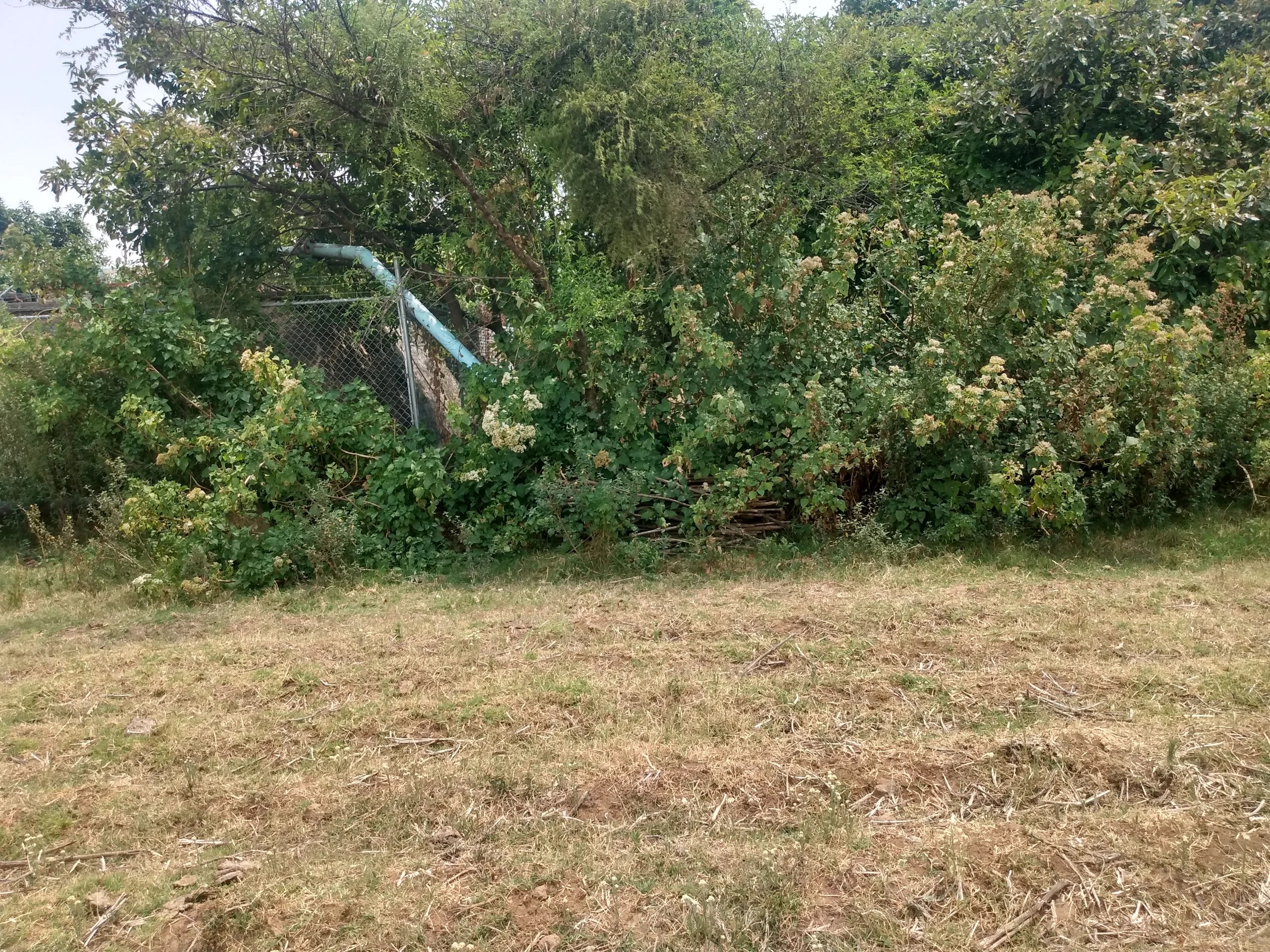 Obra hidroagrícola San Simón — vista 1