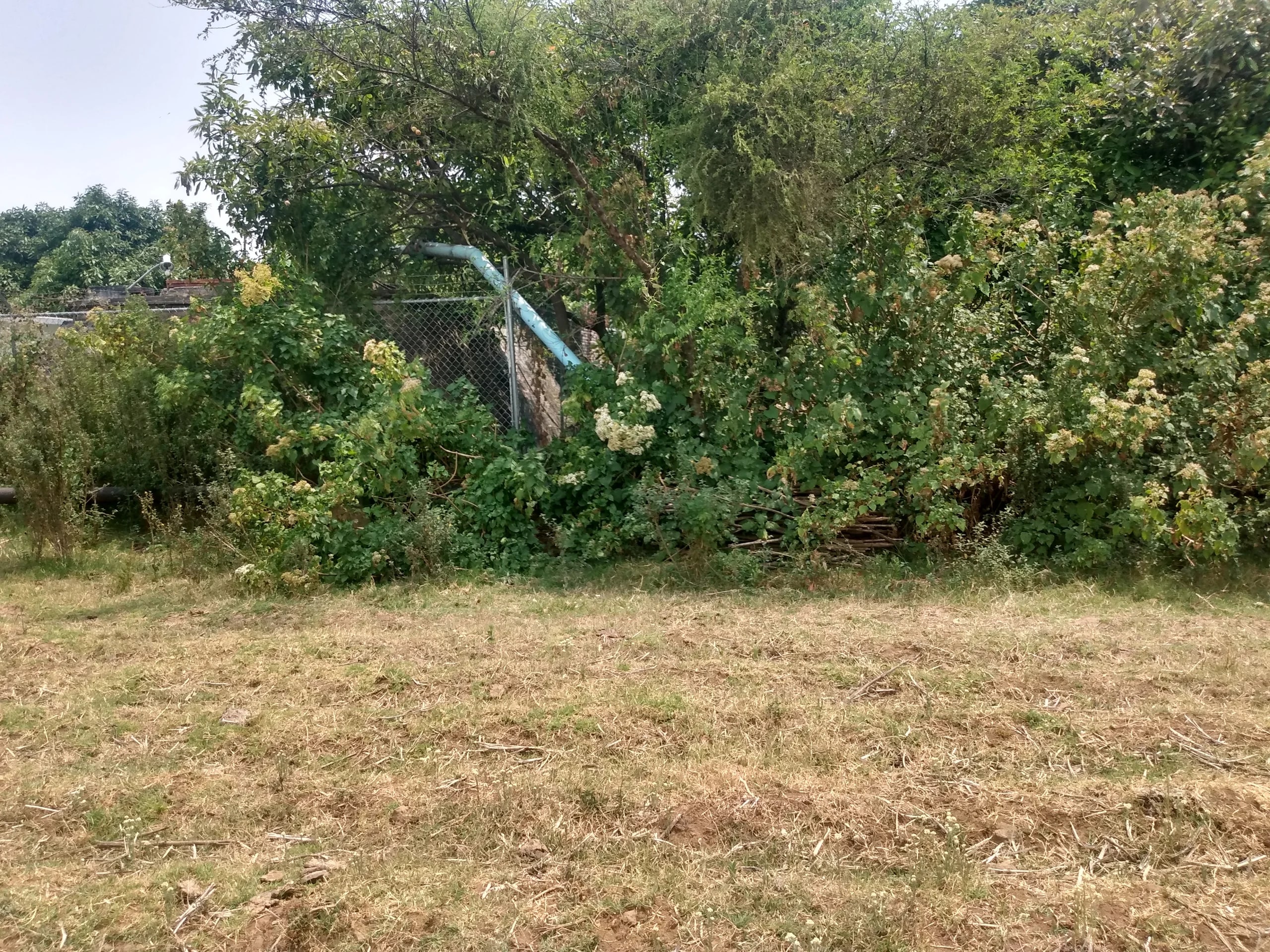 Obra hidroagrícola San Simón — vista 9